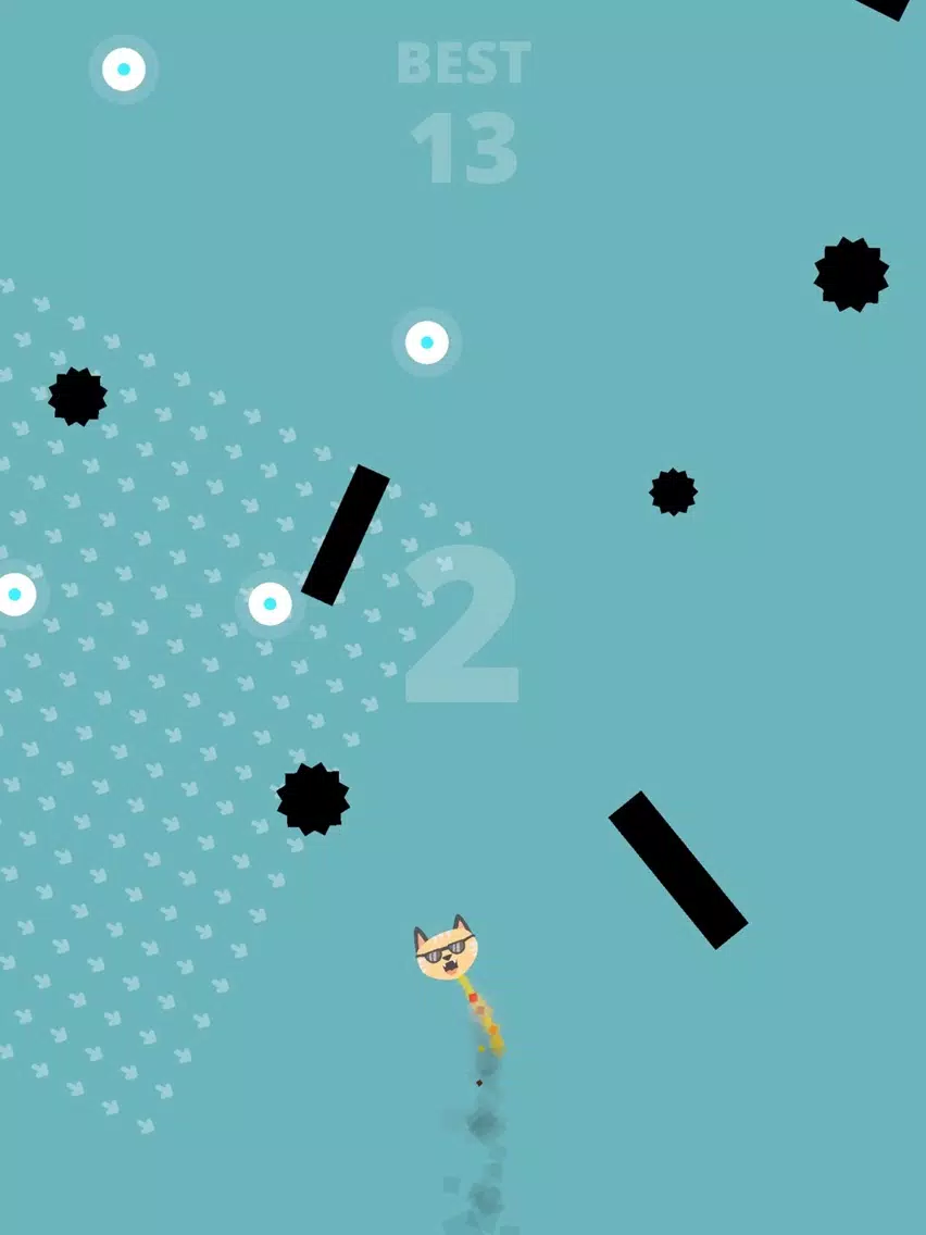 BOUNCY BOOM CAT iPad  Screenshots