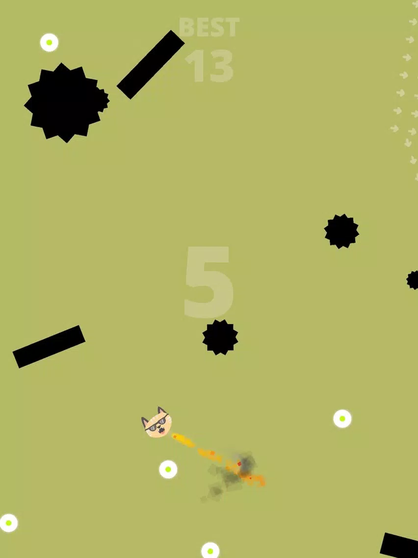 BOUNCY BOOM CAT iPad  Screenshots