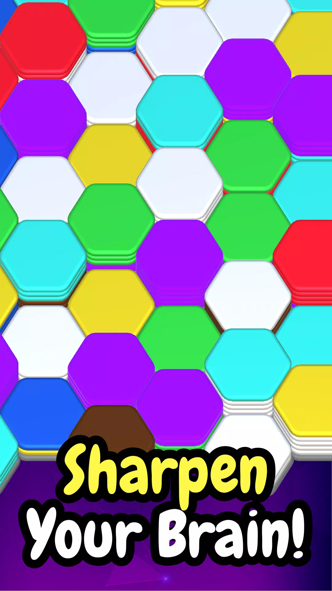 Hexa Puzzle: Sorting Hexa Game Screenshots
