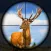 Wild Hunt: Deer Hunter 2024