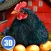 Euro Farm Simulator: Chicken - Full Version
