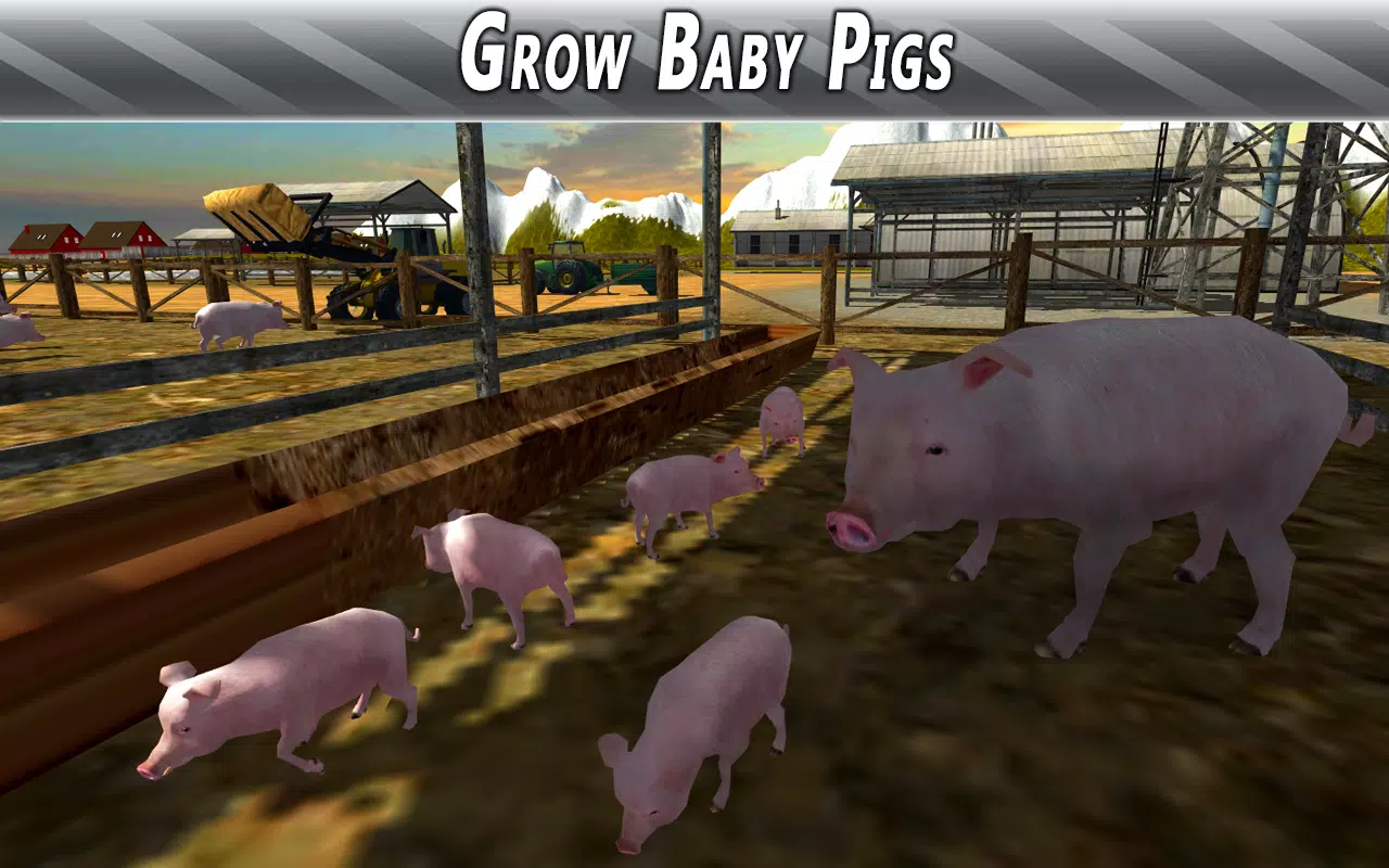 Euro Farm Simulator: Pigs Screenshots