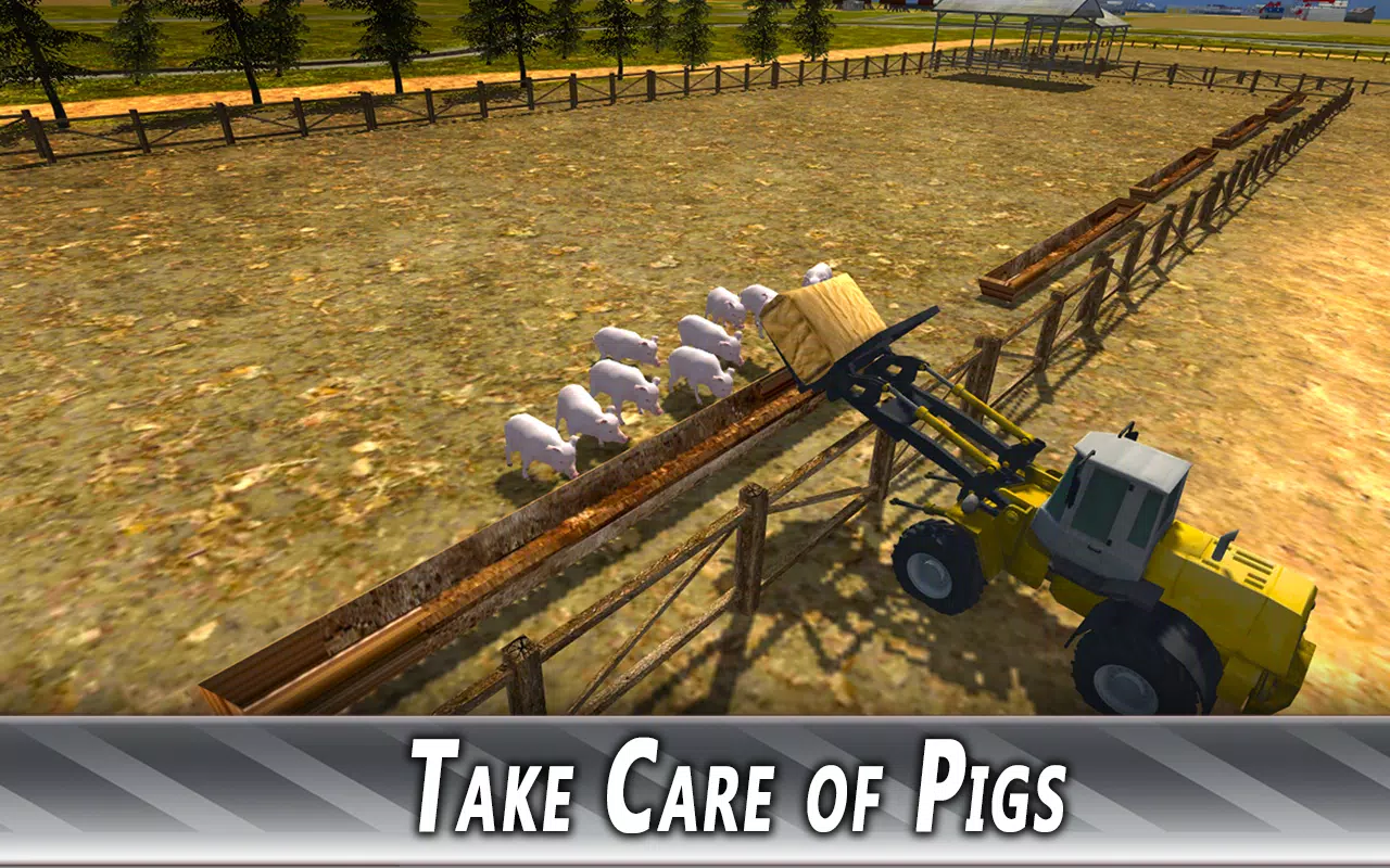 Euro Farm Simulator: Pigs Screenshots