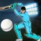 Quick Cricket 3D