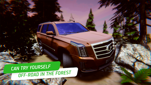 Cadillac Simulator - Racing Screenshots