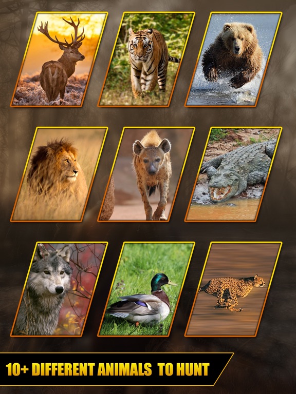 Captures d'écran de Wild Animal Hunt: Sniper Shoot iPad 