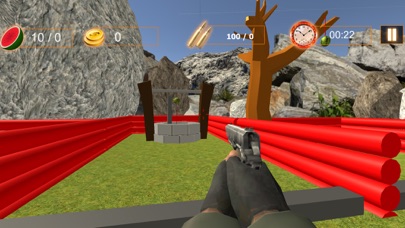 صور Watermelon Shooting Challenge