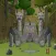 Treasure Trove Escape