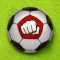 Football Fan Fighting