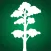 Reforest Rainforest