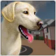 Pet Shelter Sim: Animal Rescue