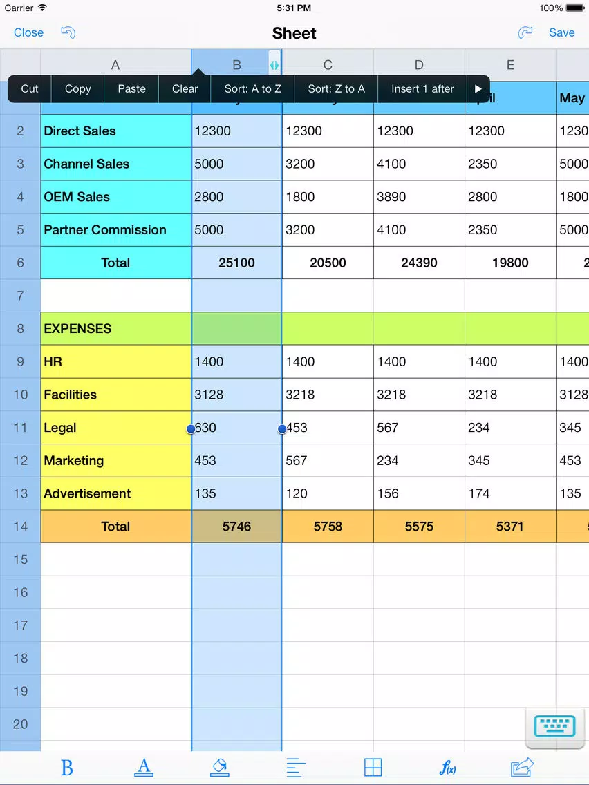 Spreadsheet touch: For Excel style spreadsheets iPad Screenshots