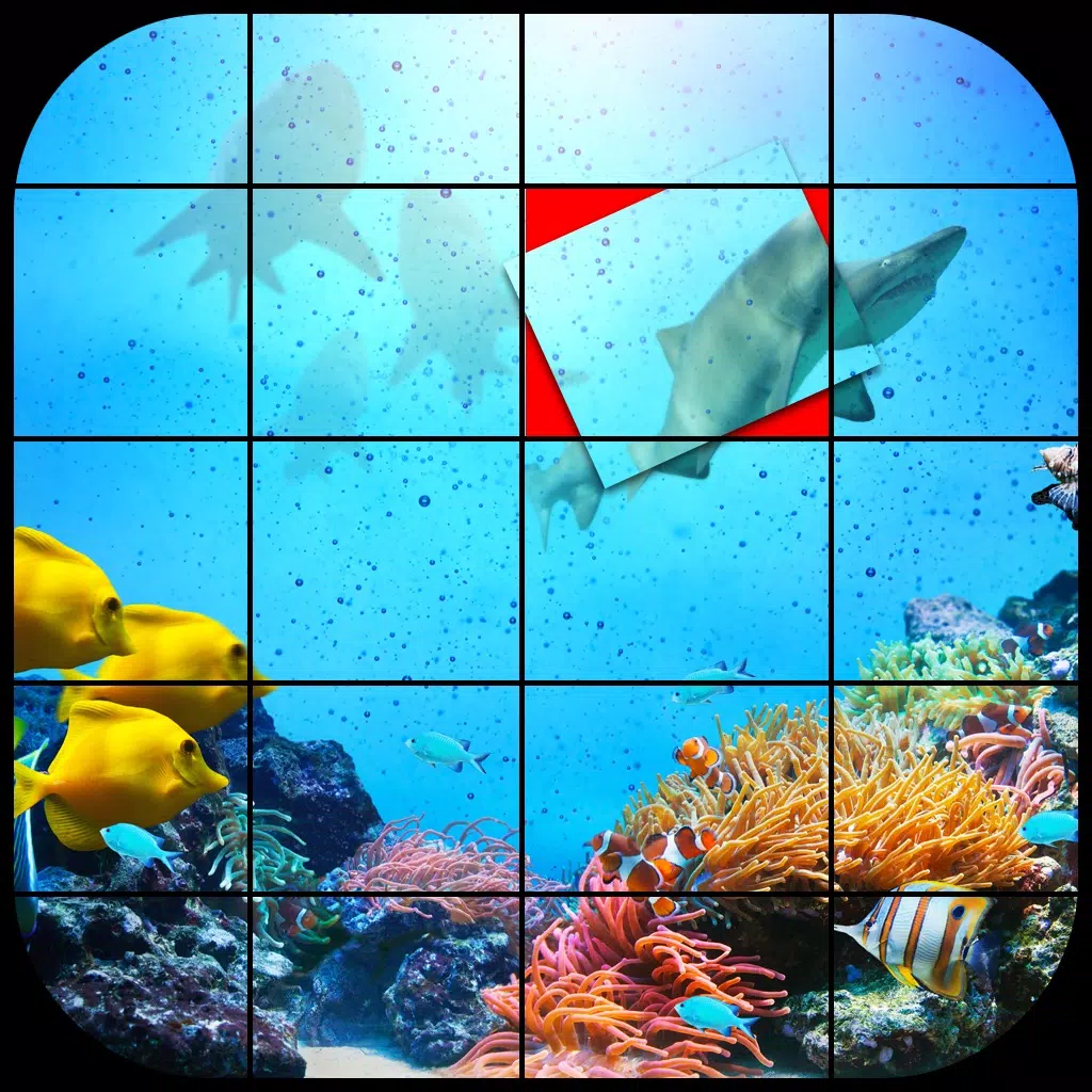 Ultimate Picture Slide Puzzle Ultimate Picture Slide Puzzle