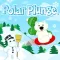 Polar Plunge ™
