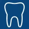 The Dental Surgery