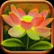 Best Gardening Tips