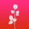 Final Rose
