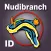 Nudibranch ID Western Pacific