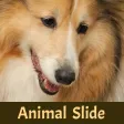 Animal Slide Image Puzzle