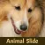 Animal Slide Image Puzzle