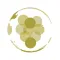Grapes Wertheim