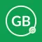 GB Version Tools - WA pro 2024