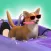 Doge Run 3D