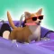 Doge Run 3D