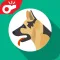 Stop Dog Noises