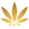 GCE Pro