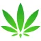 GCE Lite