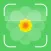 Plant identification: PlantID
