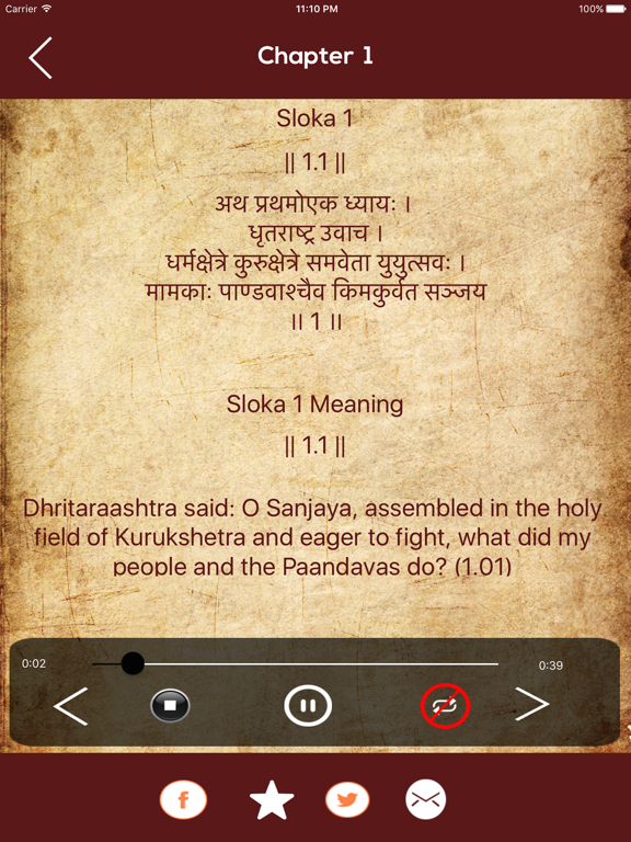 Bhagavad Gita Saar Hindi iPad Screenshots