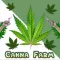 CannaFarm