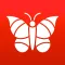 Photo Insect - Identify Bugs