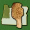 Oregon NW Mushroom Forager Map