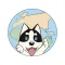 HUSKY GO