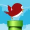 Clumsy Bird