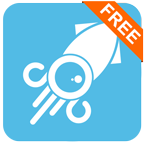 Squid VPN