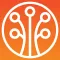 Pando - Group Stories