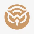 Winsight