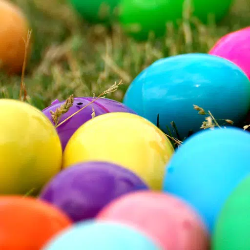 Egg Matcher Egg Matcher