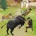 Angry Bull Fighting Games 3D