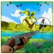 Bird Hunting Master