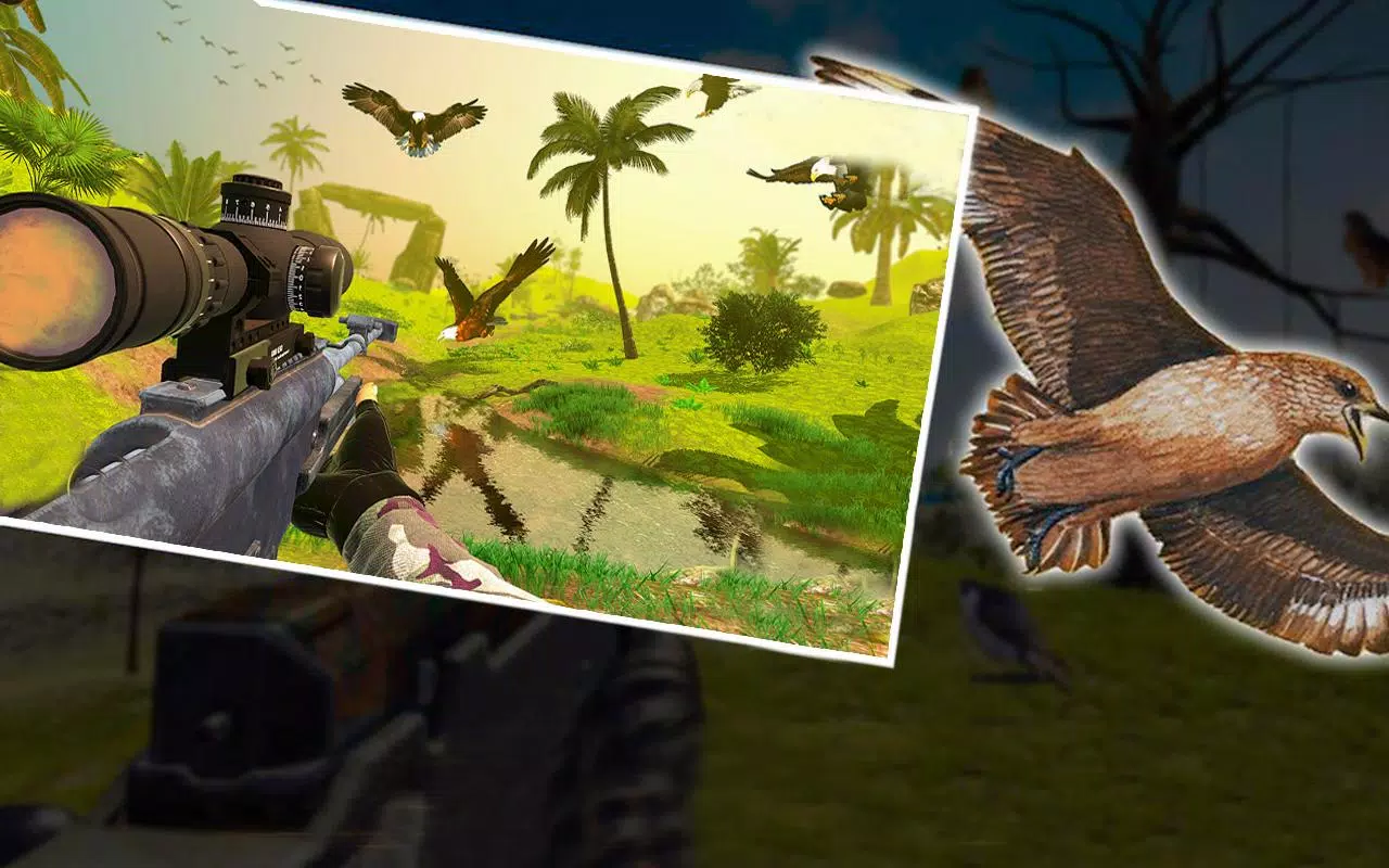 Bird Hunting Master Screenshots