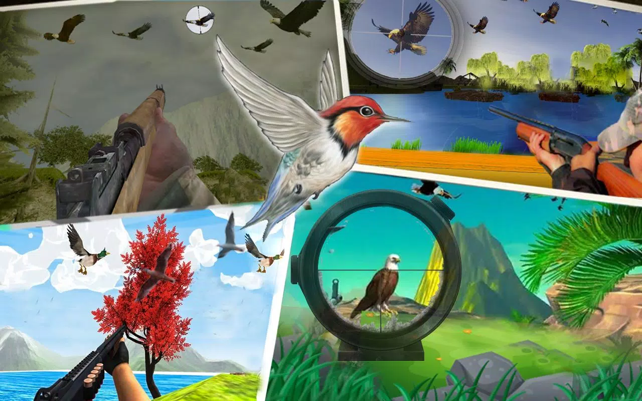 Bird Hunting Master Screenshots