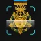 Medal Identifier by Picture