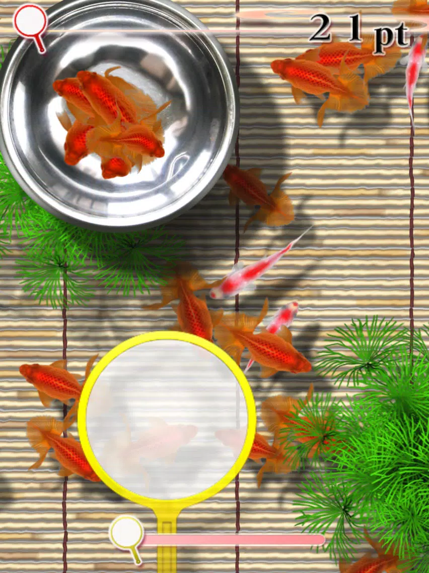 تصاویر Sakura Goldfishing iPad 