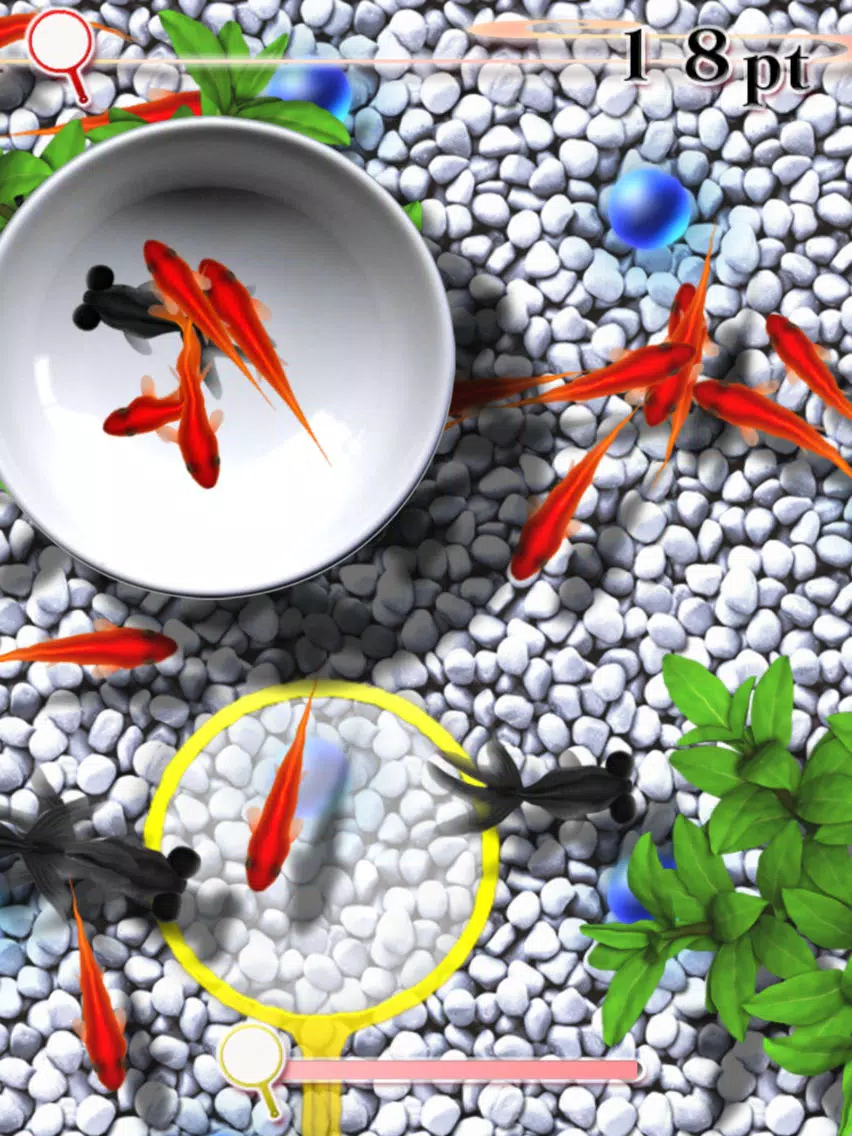 تصاویر Sakura Goldfishing iPad 