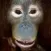 Talking Orangutan
